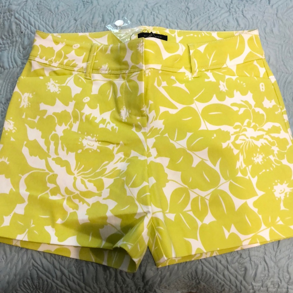 The Limited shorts